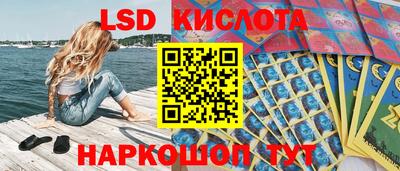 ГАЛЛЮЦИНОГЕННЫЕ ГРИБЫ Славгород