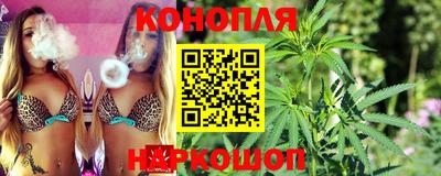 гидра Славянск-на-Кубани
