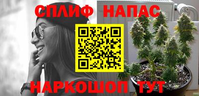 соль курить ск Сланцы