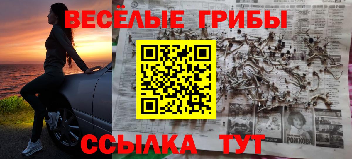 Псилоцибиновые грибы Magic Shrooms Новотроицк