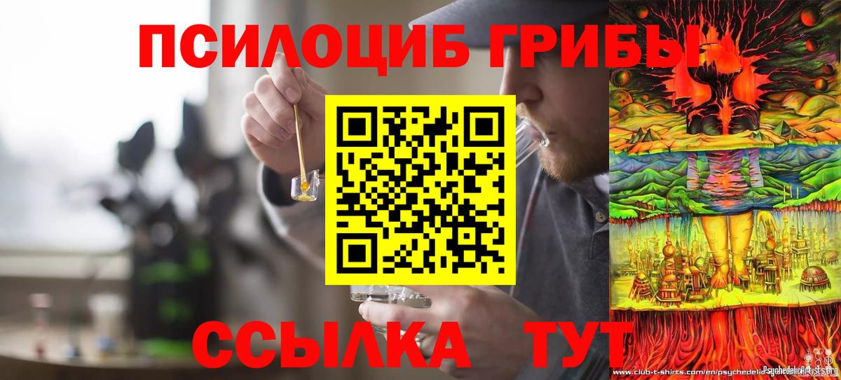 Псилоцибиновые грибы прущие грибы  где продают наркотики  Вход с VPN  Новотроицк  Галлюциногенные грибы Cubensis 